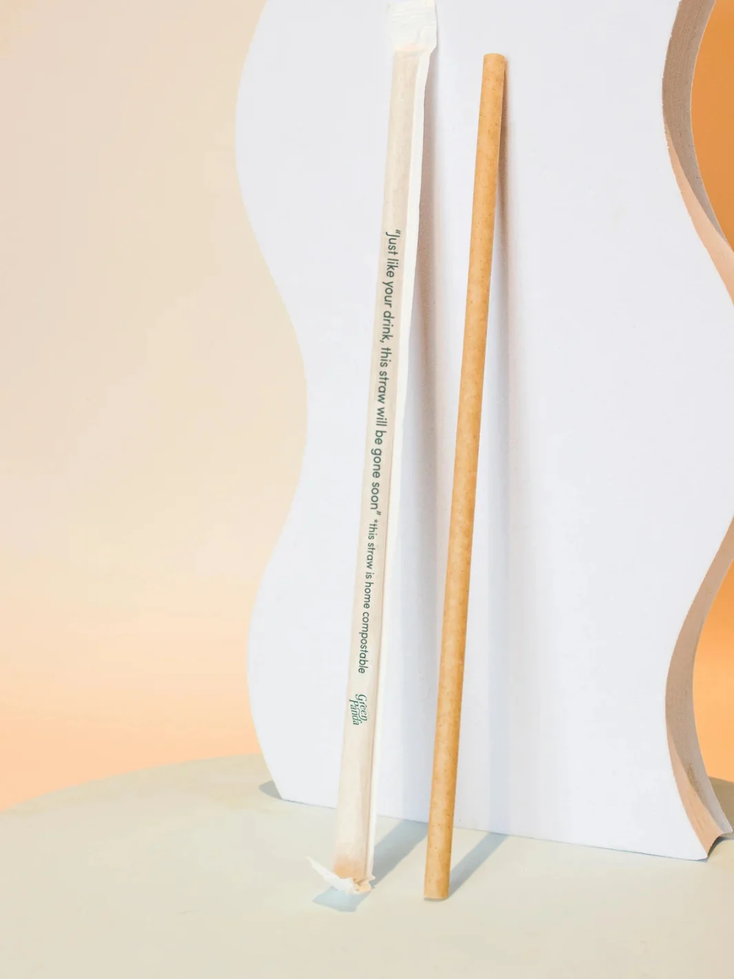 LITTLE GREEN PANDA Paper-Wrapped Home Compostable Straw (⌀6x210mm/⌀0.24x8.3in) (Straight Cut) (300-Pack) - Image 3