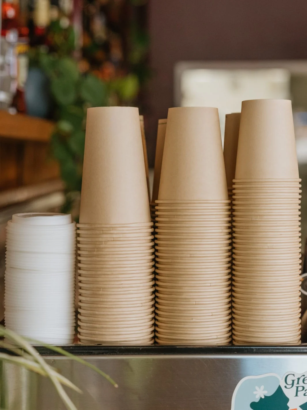 LITTLE GREEN PANDA Home Compostable Paper Cup (1000-Pack) (Brown) - 8oz/236ml - Image 11