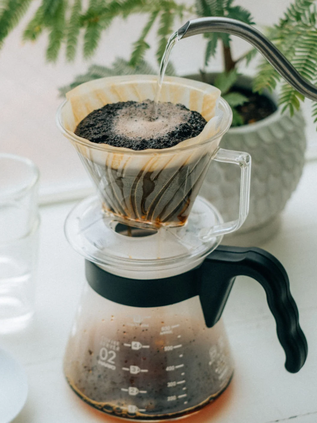 HARIO Pegasus 02 Dripper (Plastic) Brewer - Image 9
