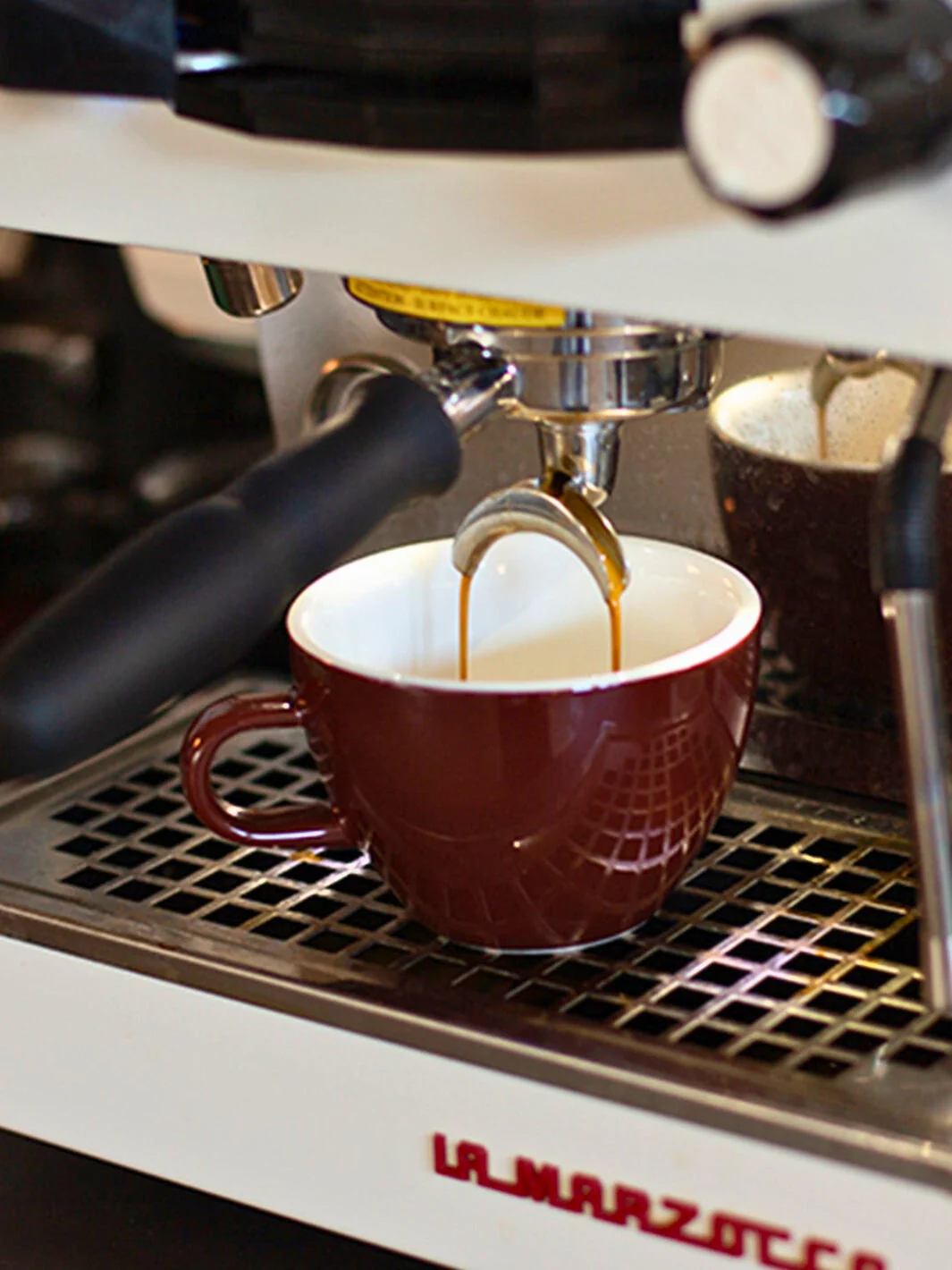 ACME Classic Mighty Cup (350ml/11.84oz) - Dolphin / 24-Pack - Image 95