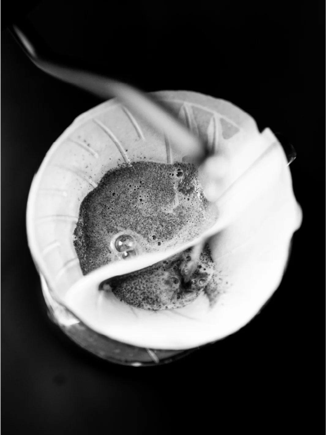 SIBARIST CONE DUAL CHAMBER Specialty Coffee Filters - Image 8