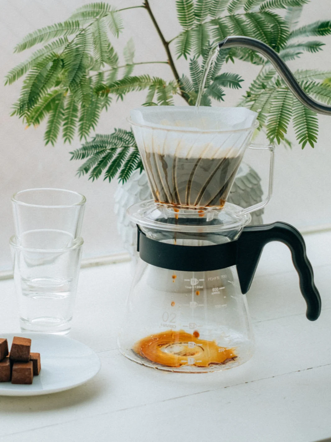 HARIO Pegasus 02 Dripper (Plastic) Brewer - Image 8
