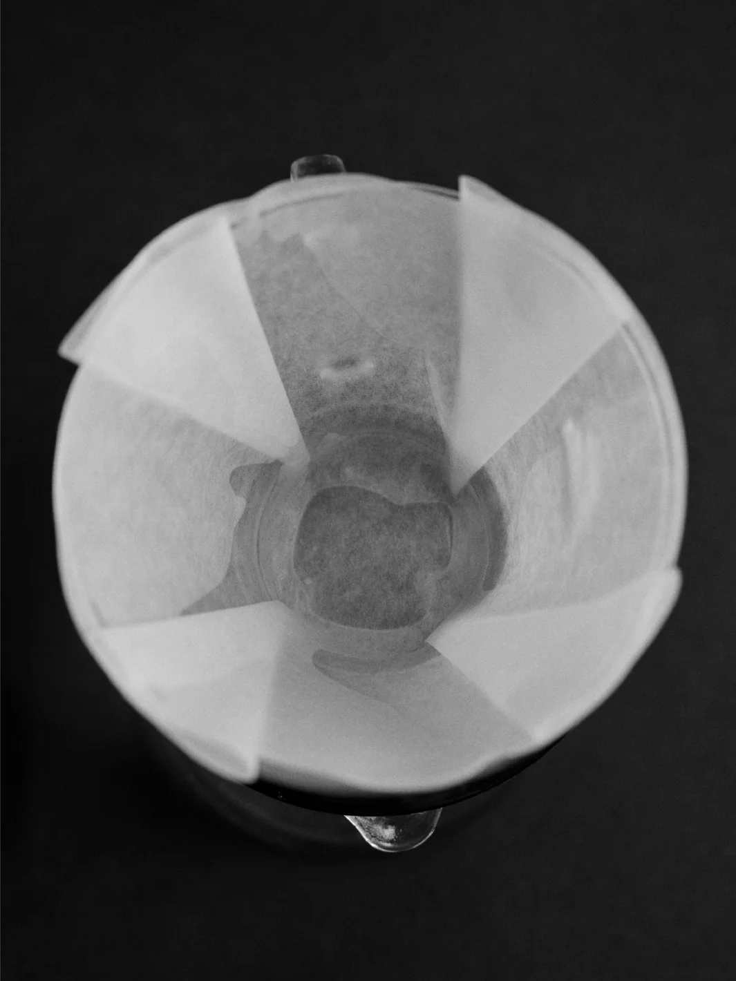 SIBARIST FLAT Specialty Coffee Filters - B3 / M / 100-Pack - Image 16