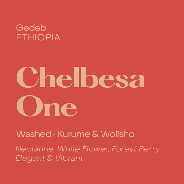 Subtext - Chelbesa One Espresso Coffee