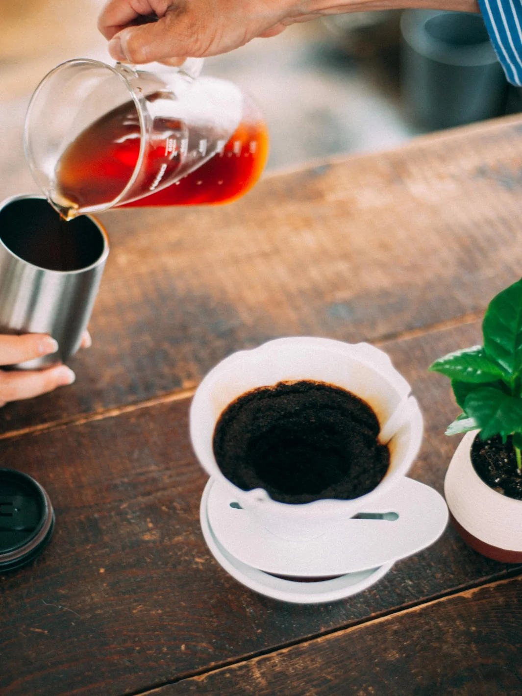 HARIO V60 MUGEN Dripper (Ceramic) Brewer - Image 6