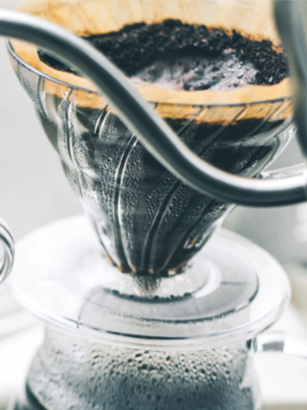 HARIO V60-03 Dripper (Plastic) (Clear) Brewer - Image 4