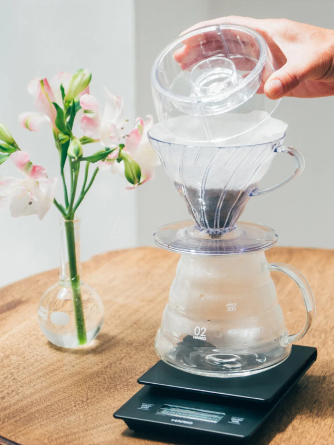 HARIO V60 Drip-Assist Brewer - Image 5